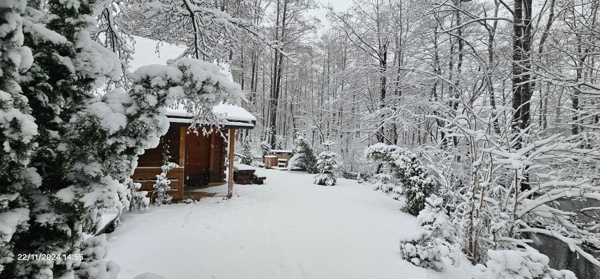Vodenica Vrelo Chalets Vrelo Koreničko Kültér fotó