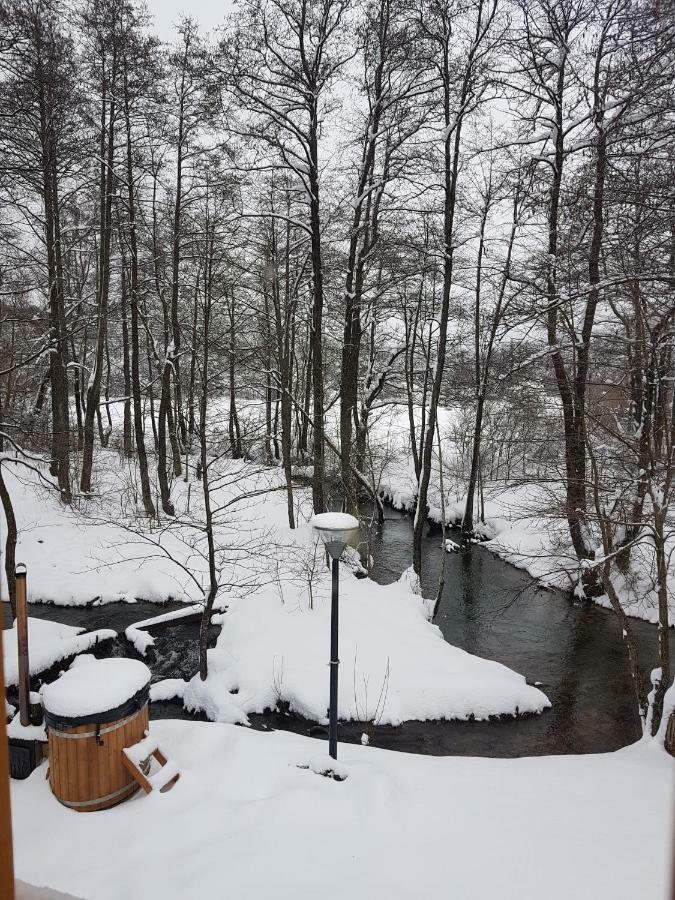 Vodenica Vrelo Chalets Vrelo Koreničko Kültér fotó