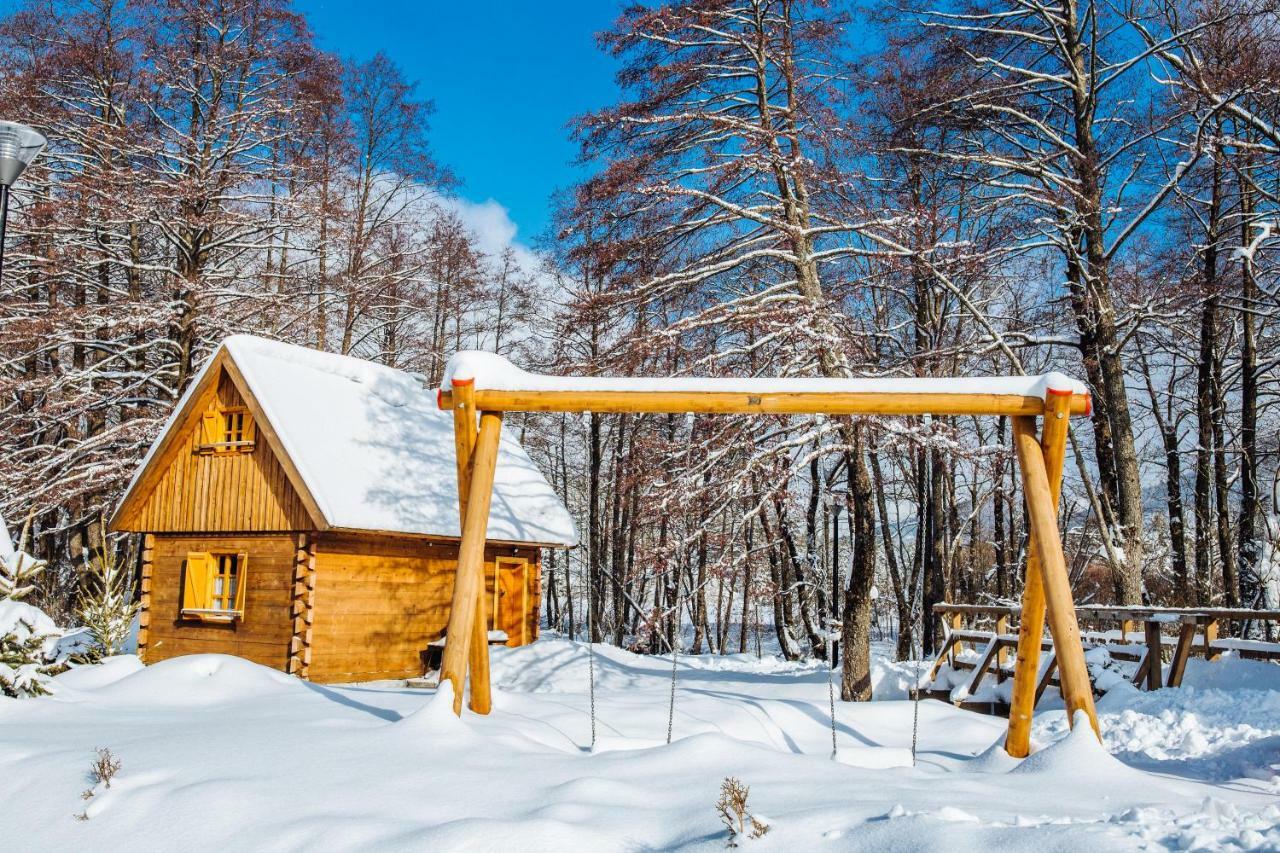 Vodenica Vrelo Chalets Vrelo Koreničko Kültér fotó