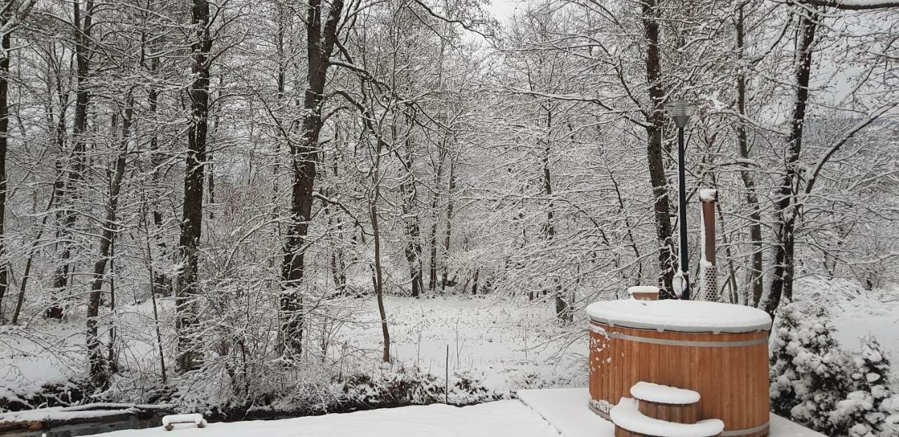 Vodenica Vrelo Chalets Vrelo Koreničko Kültér fotó