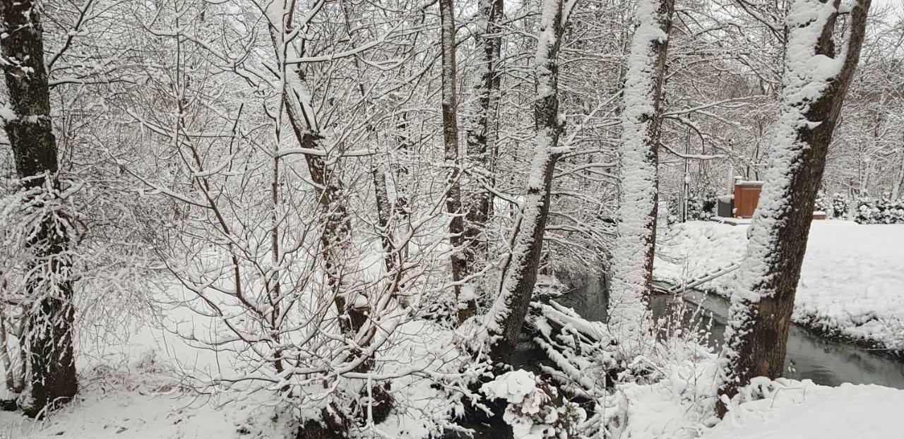 Vodenica Vrelo Chalets Vrelo Koreničko Kültér fotó